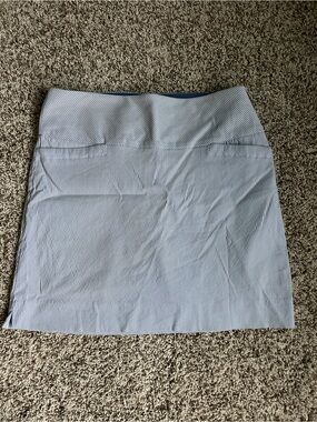 Women’s Blue and White Striped A-Line Skirt
